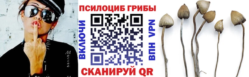 Псилоцибиновые грибы Cubensis купить наркотик mega tor Кочубеевское